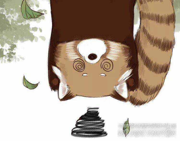 Trường Phong Quyển Chapter 5 trang 30