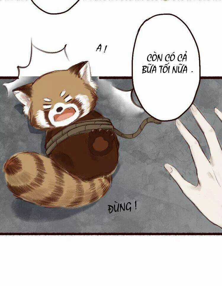 Trường Phong Quyển Chapter 5 trang 41