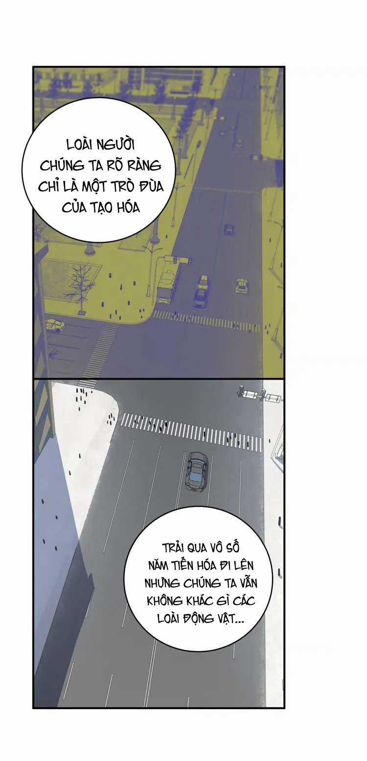 Truy Sát Tình Yêu Chapter 6 trang 4