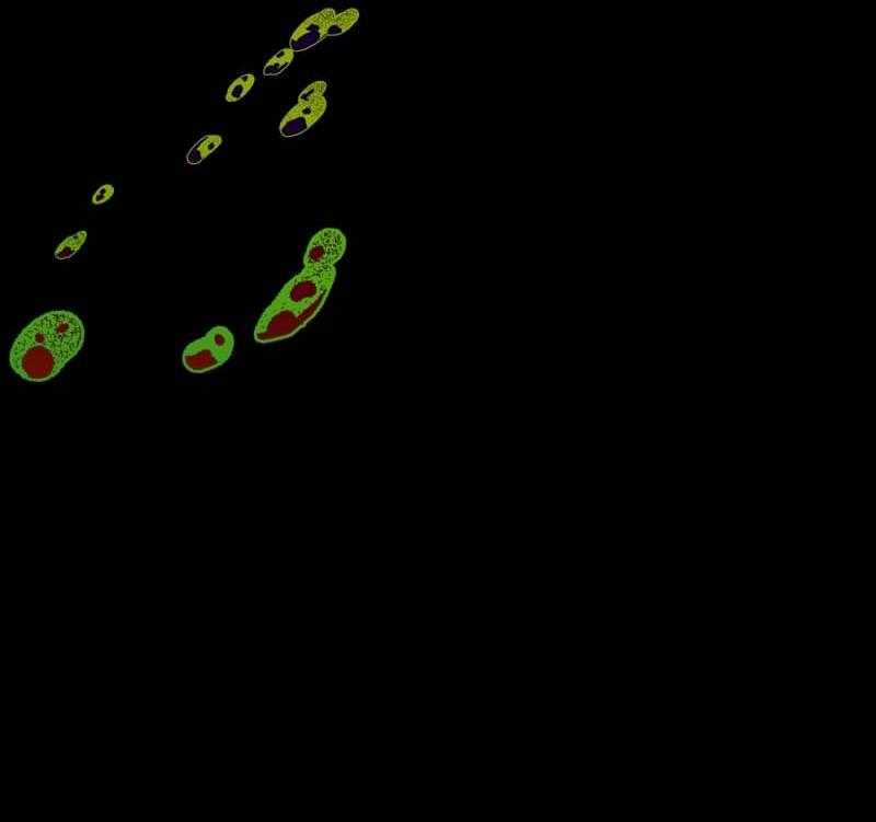 Truyện Ngôn Nhưng Không Ngôn Lắm Chapter 111 trang 8