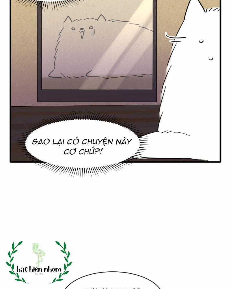 Truyện Ngôn Nhưng Không Ngôn Lắm Chapter 15 trang 36