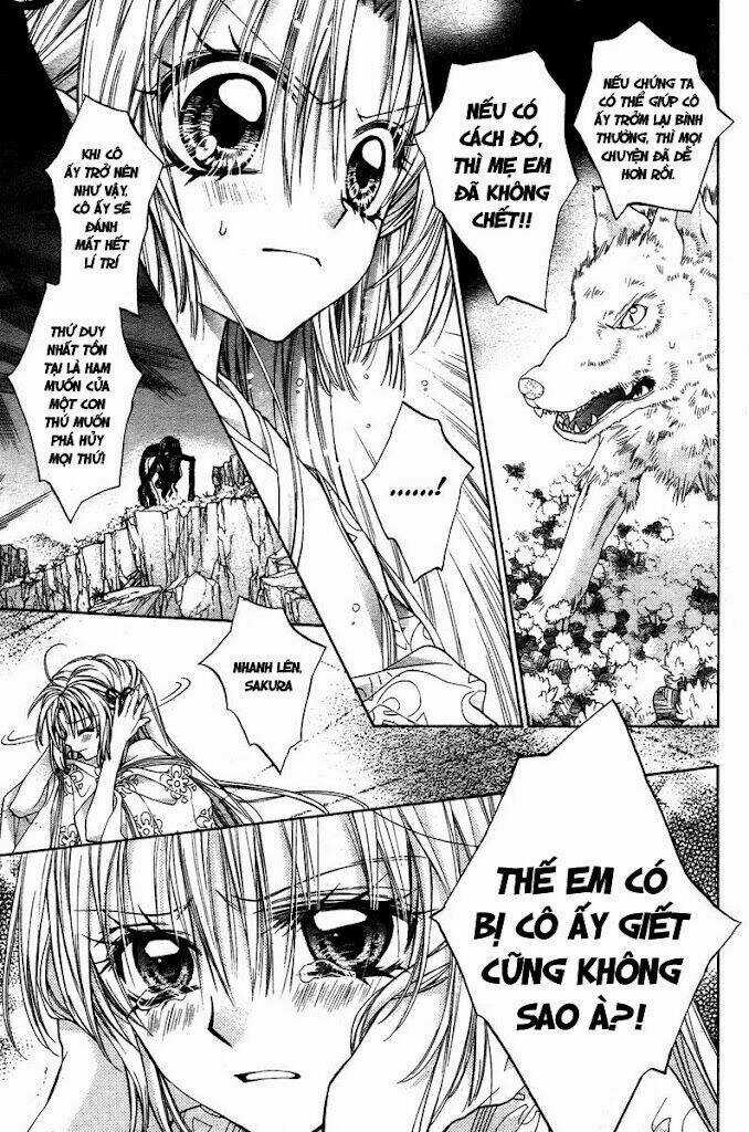 Truyền thuyết công chúa hoa anh đào Chapter 2 trang 165