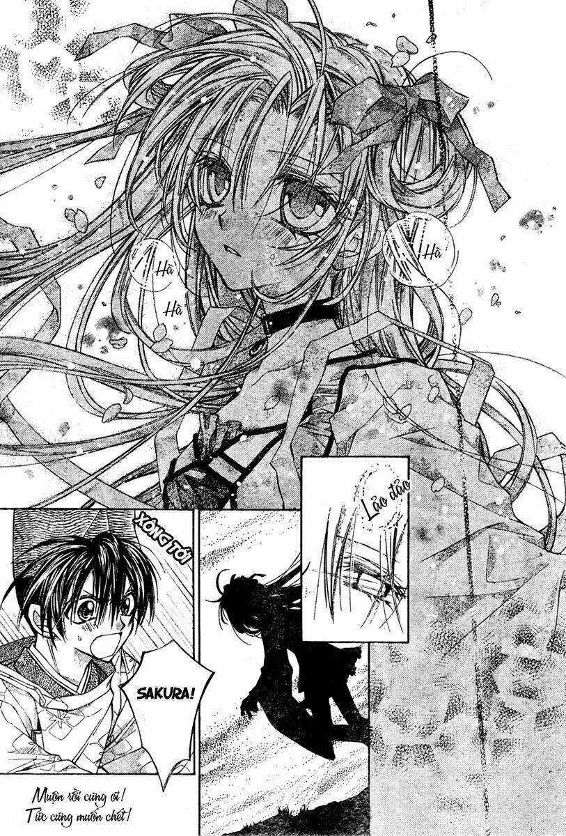 Truyền thuyết công chúa hoa anh đào Chapter 2 trang 32