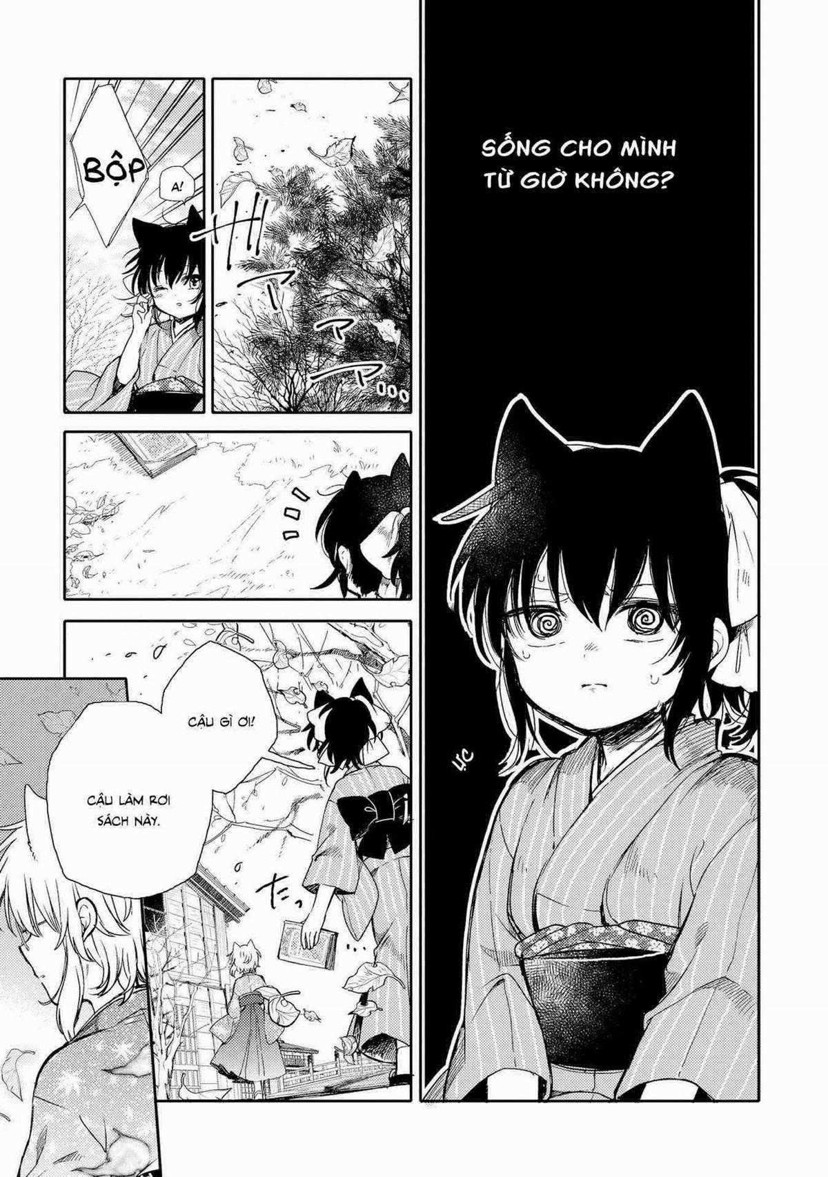 Tsuki ga Kirei Desu ne (Overblack Team) Chapter 12 trang 11