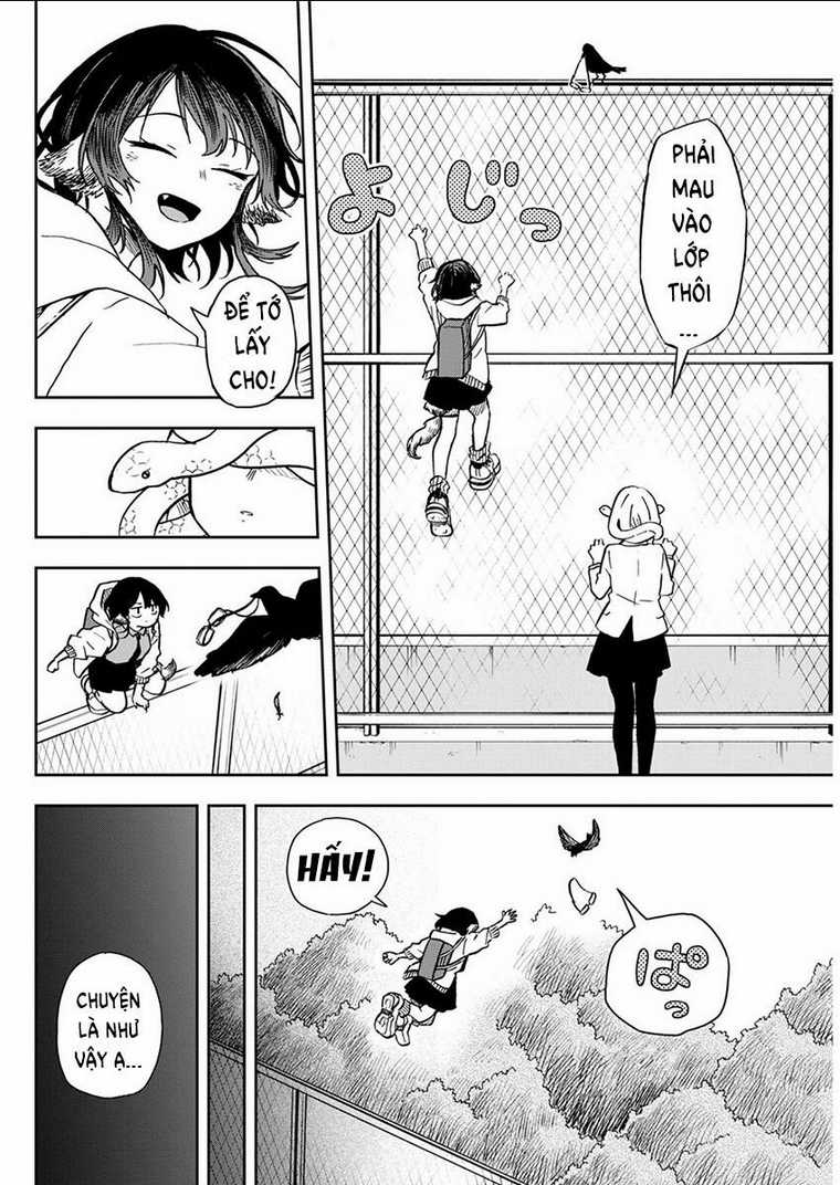 Tsumiki Ogami & The Strange Everyday Life. Chapter 9 trang 4