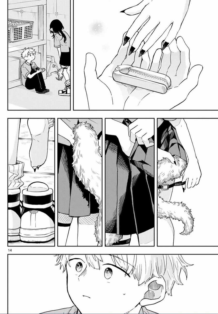Tsumiki Ogami và Cuộc sống diệu kì! Chapter 18 trang 12