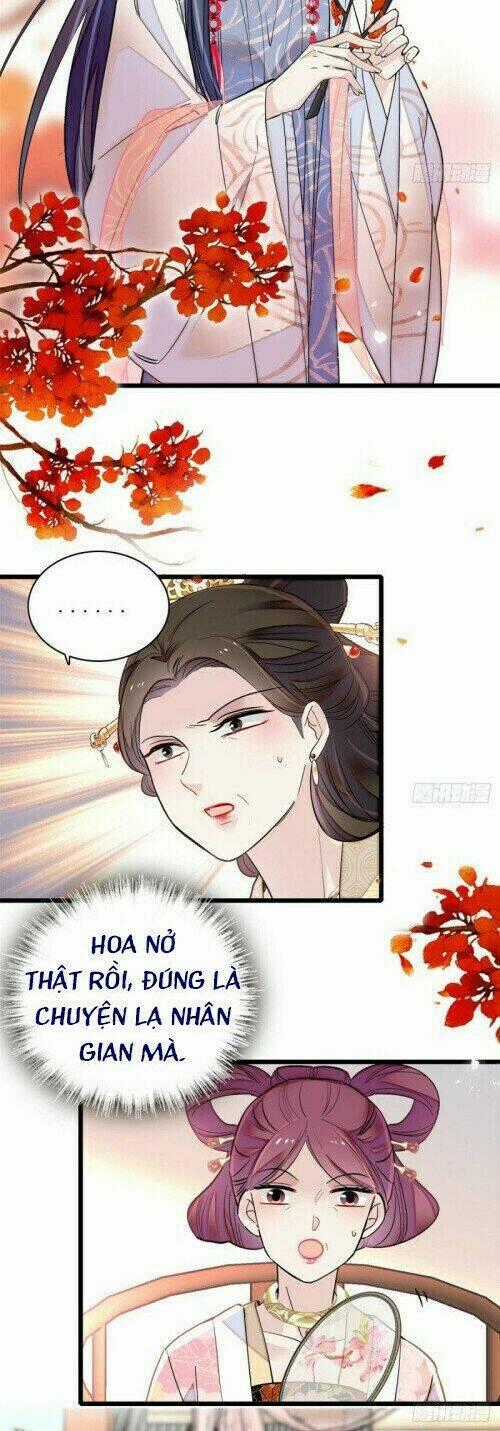TỰ CẨM Chapter 126 trang 1