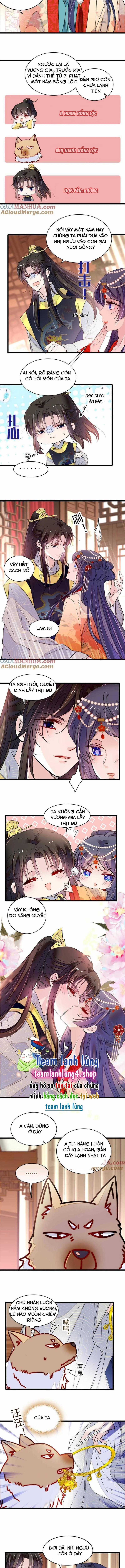 TỰ CẨM Chapter 260 trang 1