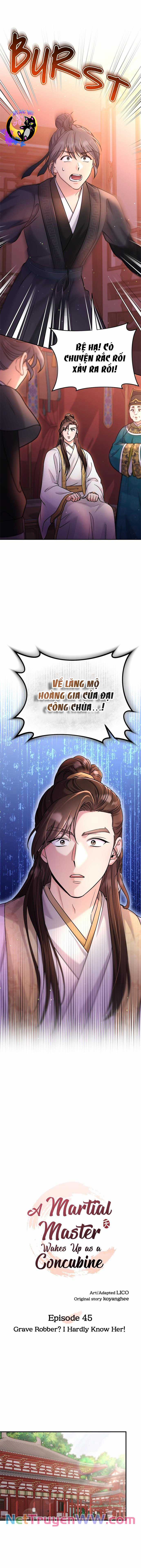 Từ Cao Thủ Trở Thành Phi Tần Chapter 45 trang 4