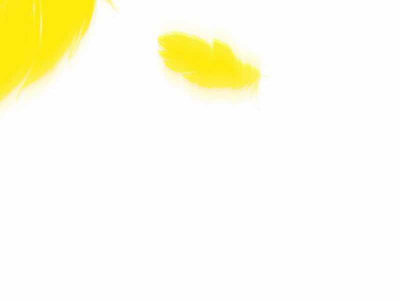 tu chân thiên mệnh đại phế vật Chapter 17 trang 30