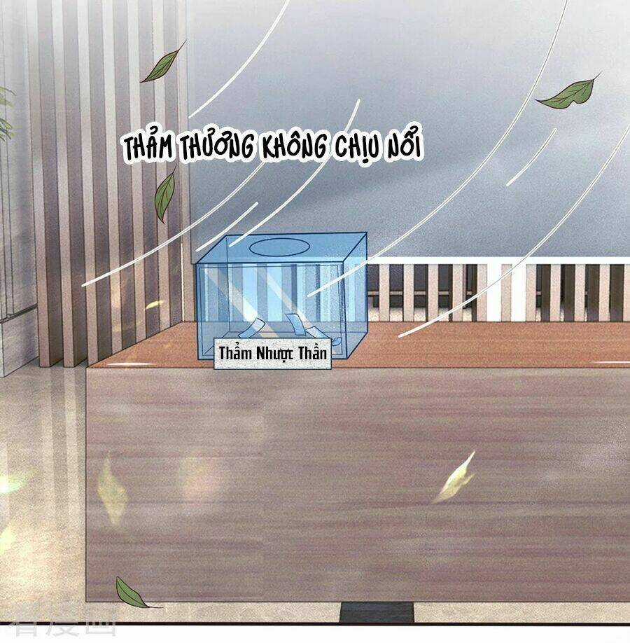 Từ Chối Kết Hôn Với Đại Gia: Cô Dâu Bỏ Trốn Chapter 155 trang 14