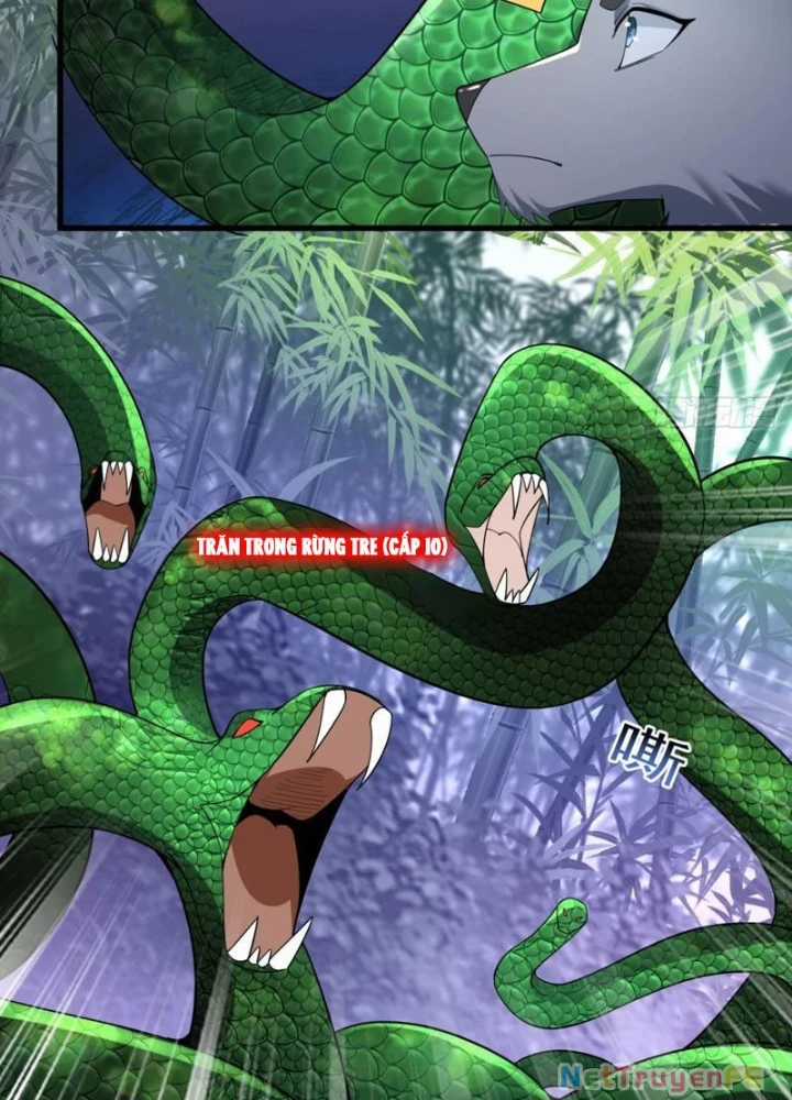 Từ Dã Quái Bắt Đầu Thăng Cấp Chapter 10 trang 66