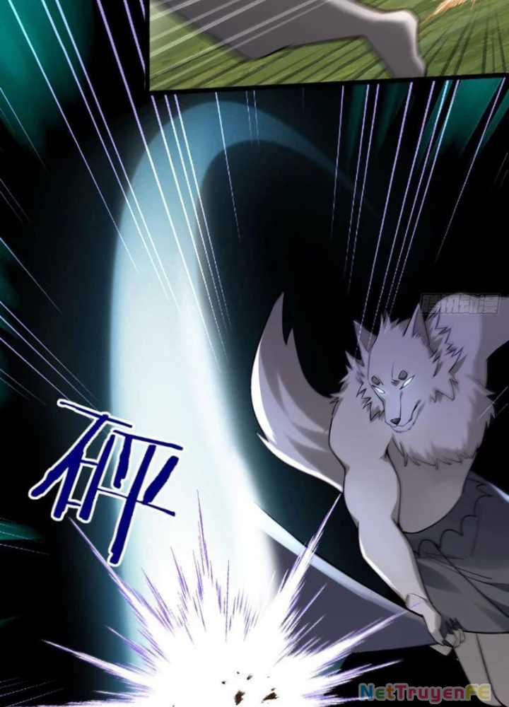 Từ Dã Quái Bắt Đầu Thăng Cấp Chapter 2 trang 14