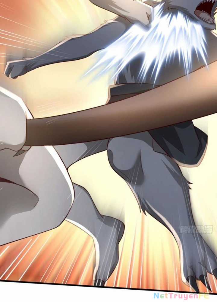 Từ Dã Quái Bắt Đầu Thăng Cấp Chapter 3 trang 6