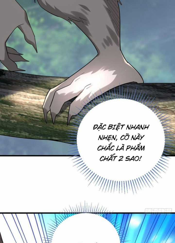 Từ Dã Quái Bắt Đầu Thăng Cấp Chapter 4 trang 12