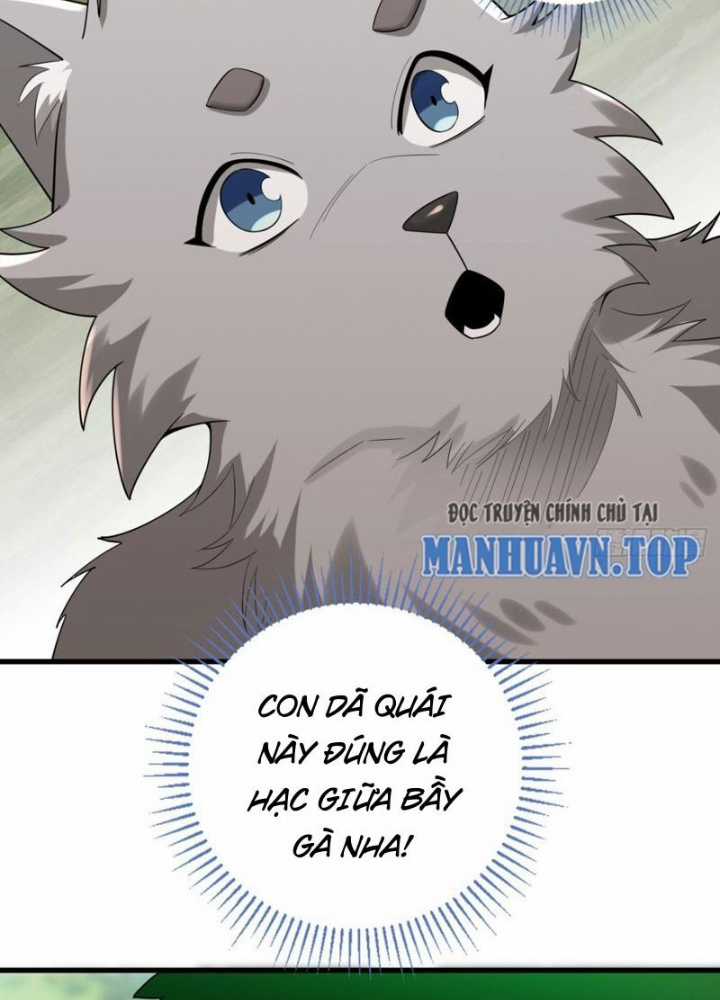 Từ Dã Quái Bắt Đầu Thăng Cấp Chapter 4 trang 8