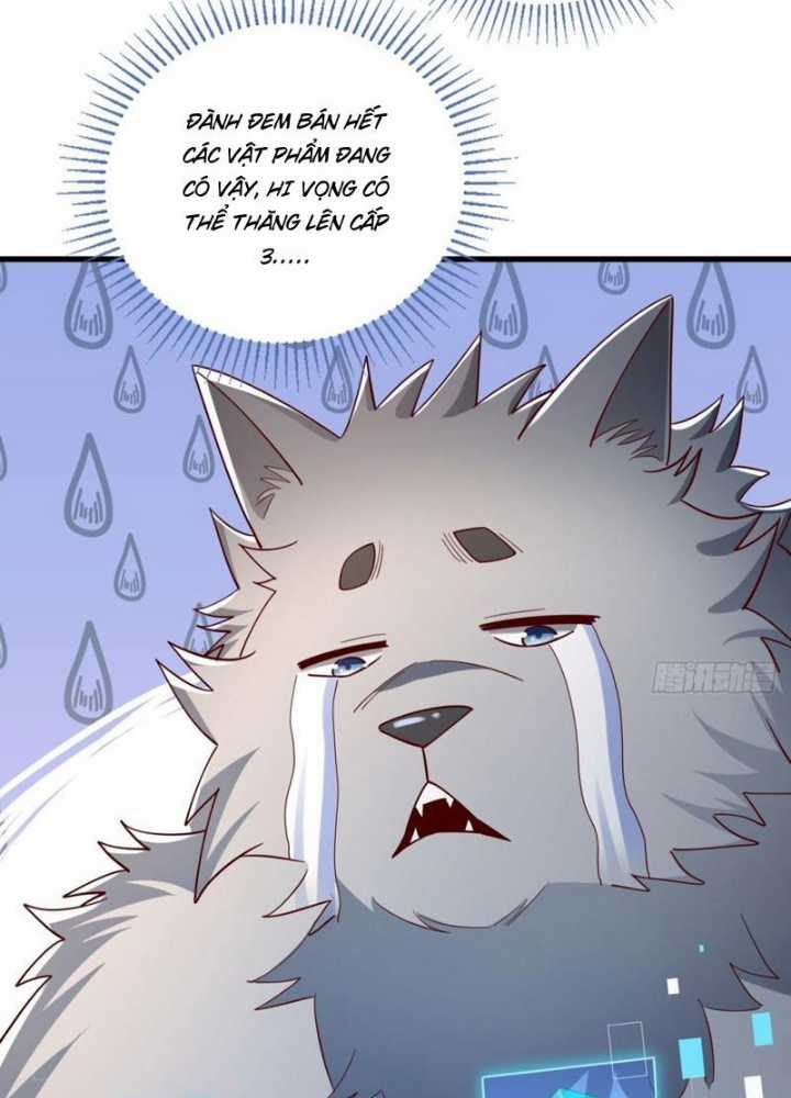 Từ Dã Quái Bắt Đầu Thăng Cấp Chapter 5 trang 12