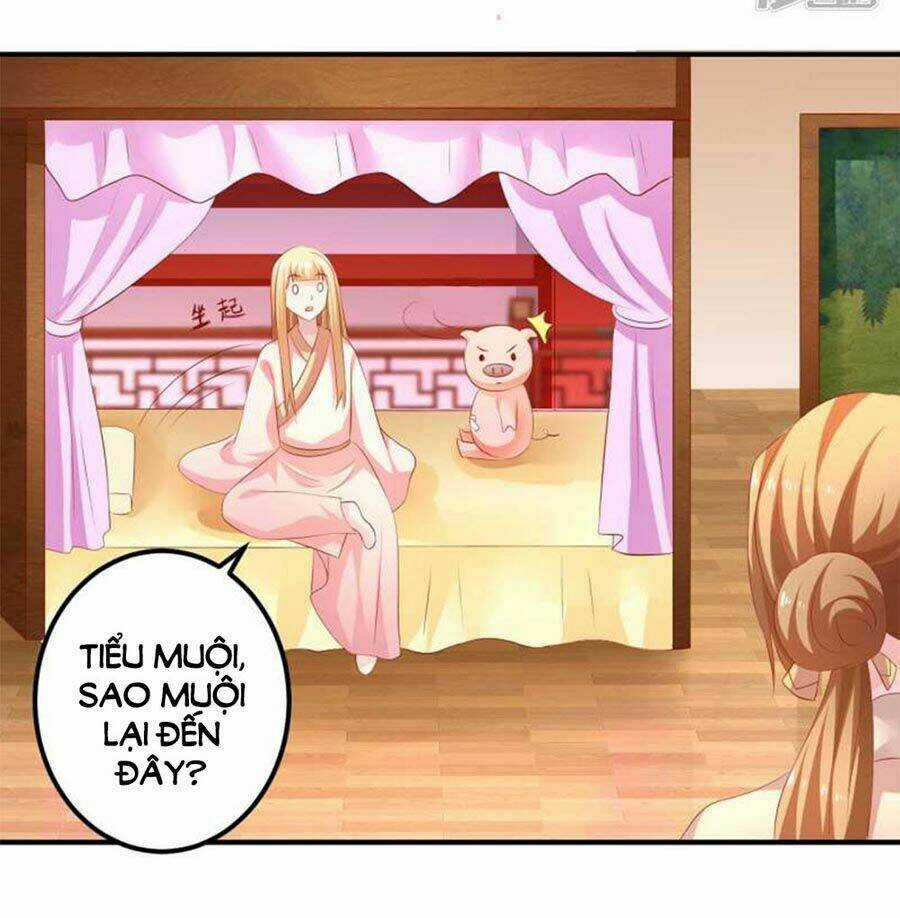 Từ Đây Vương Gia Không Thượng Triều Sớm Chapter 91 trang 10
