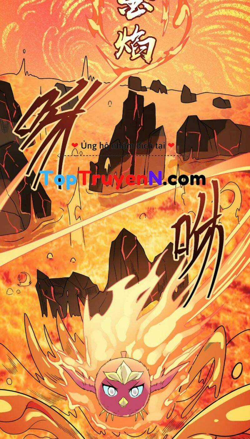 Tử Giới, Thức Tỉnh Tài Năng Hạng Sss Chapter 33 trang 13