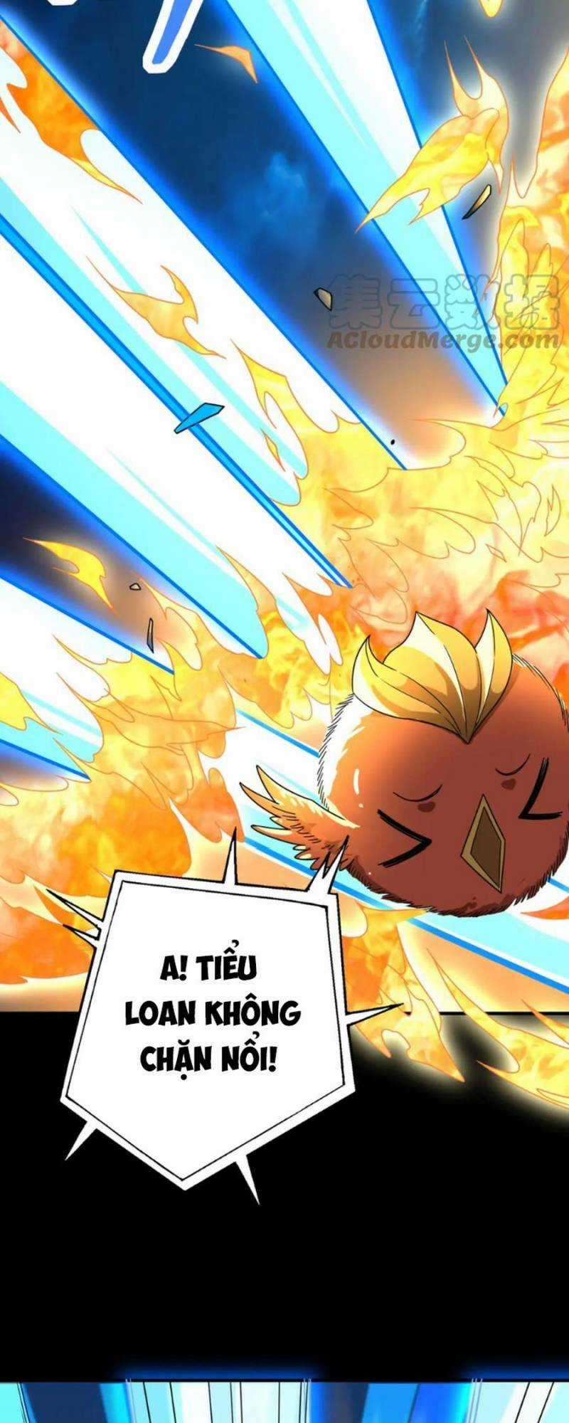 Tử Giới, Thức Tỉnh Tài Năng Hạng Sss Chapter 39 trang 46