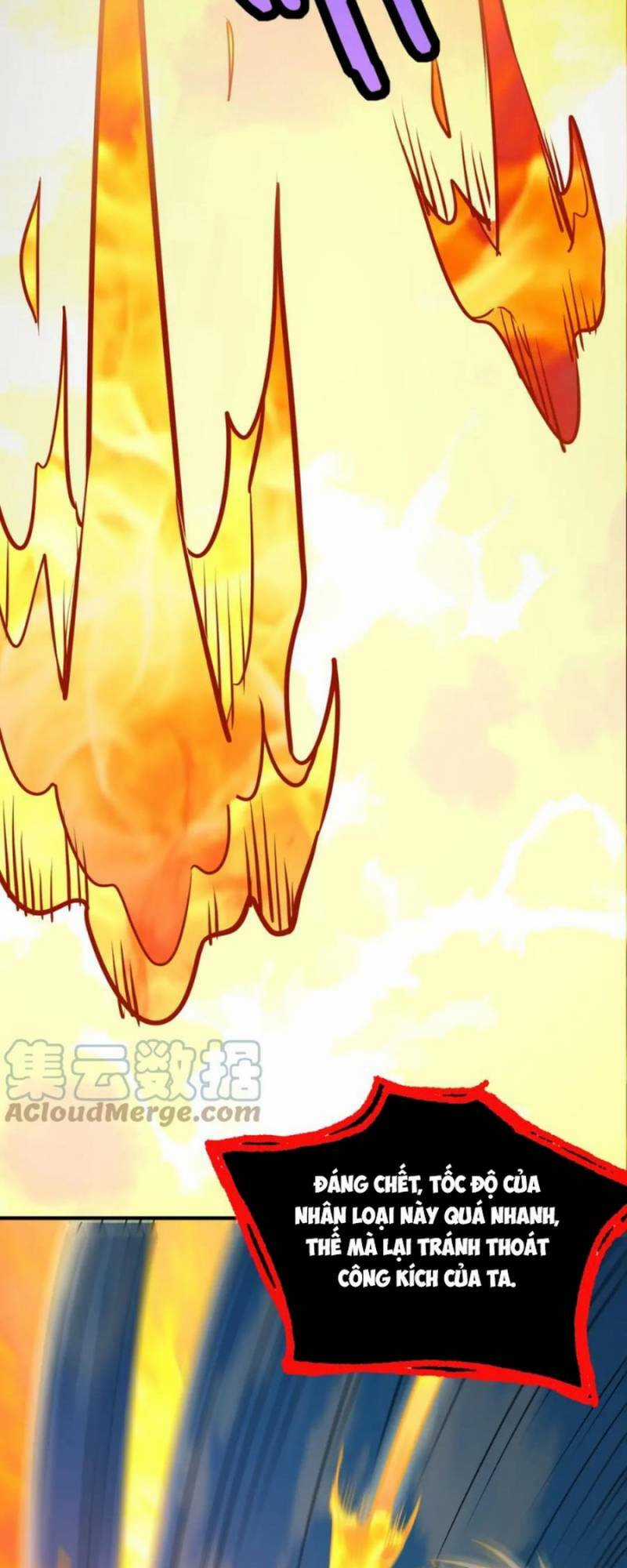 Tử Giới, Thức Tỉnh Tài Năng Hạng Sss Chapter 39 trang 61