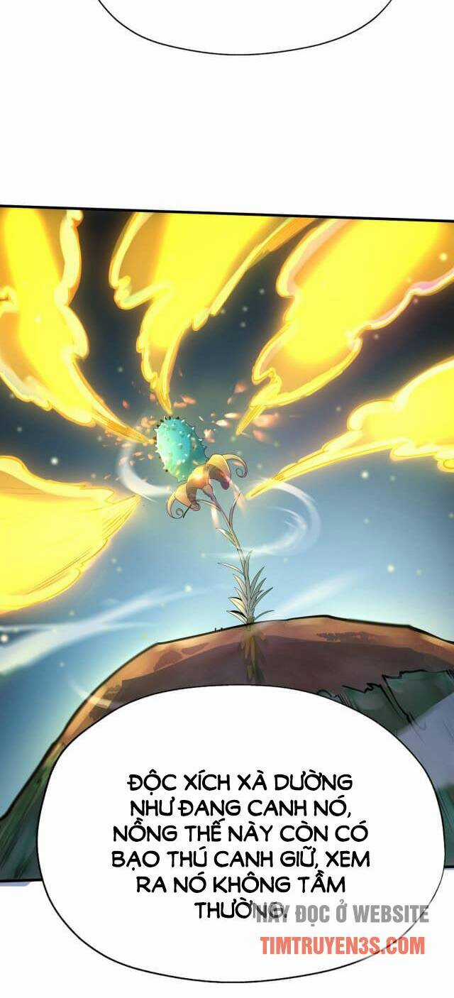 Tử Giới, Thức Tỉnh Tài Năng Hạng Sss Chapter 5 trang 23