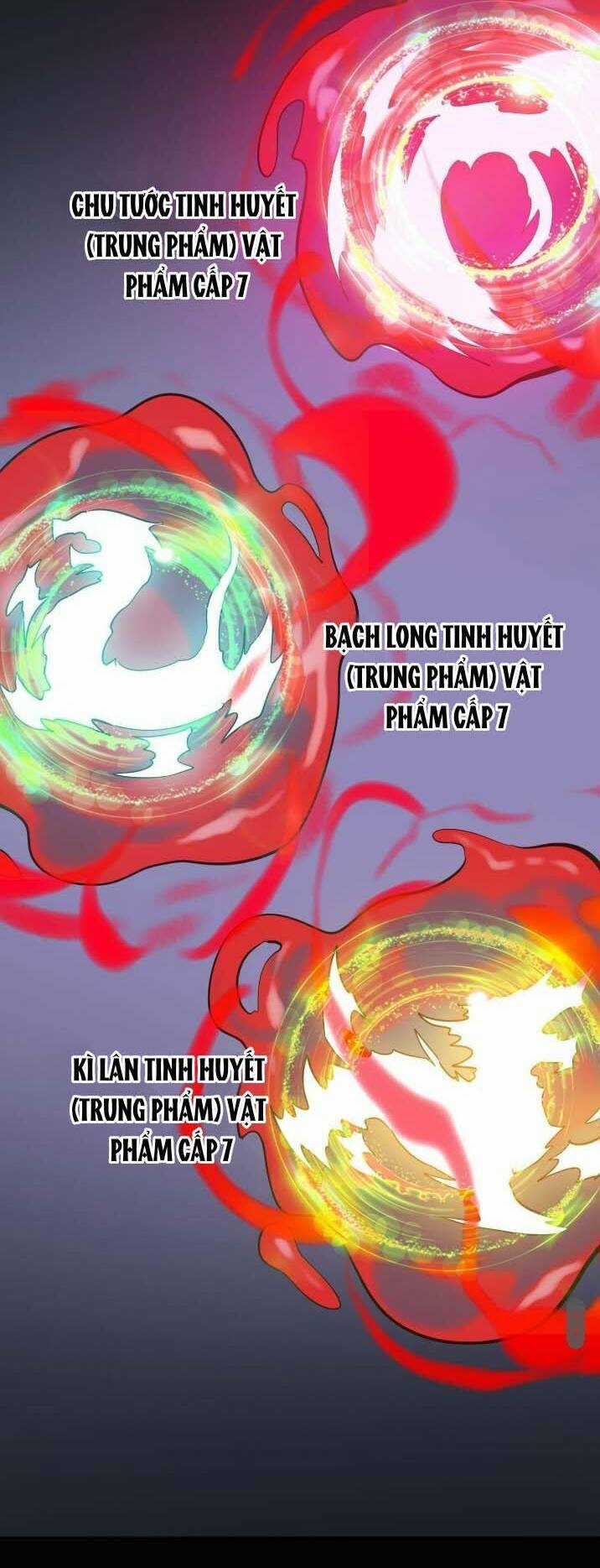 Tử Giới, Thức Tỉnh Tài Năng Hạng Sss Chapter 70 trang 53