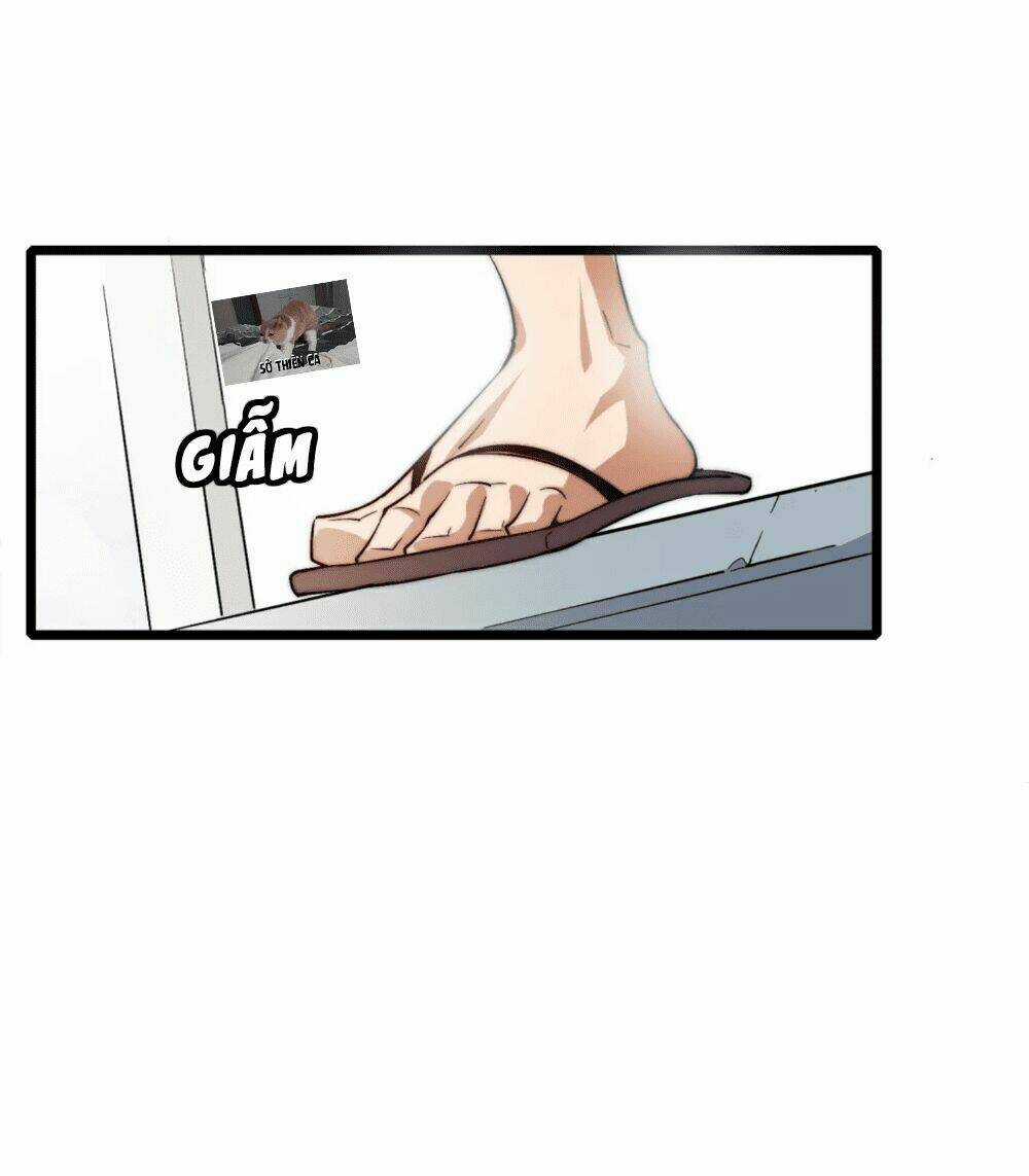 Từ Hôm Nay Bắt Đầu Làm Người Giàu Nhất Chapter 1 trang 53