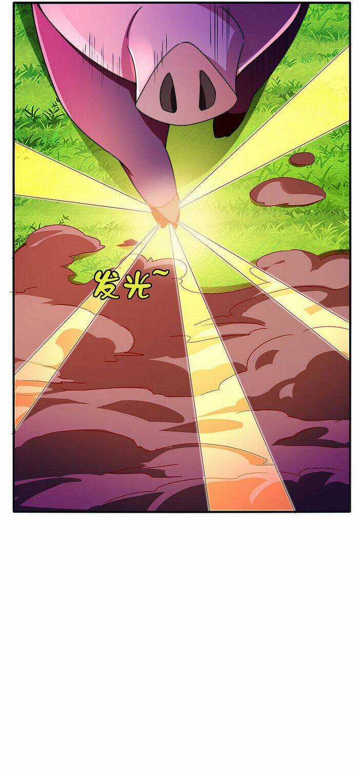 Từ Hôm Nay Bắt Đầu Làm Người Giàu Nhất Chapter 203 trang 12