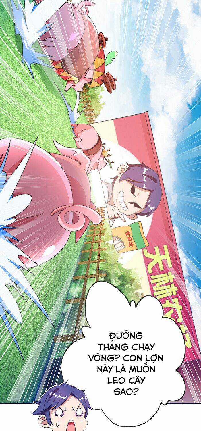 Từ Hôm Nay Bắt Đầu Làm Người Giàu Nhất Chapter 203 trang 4