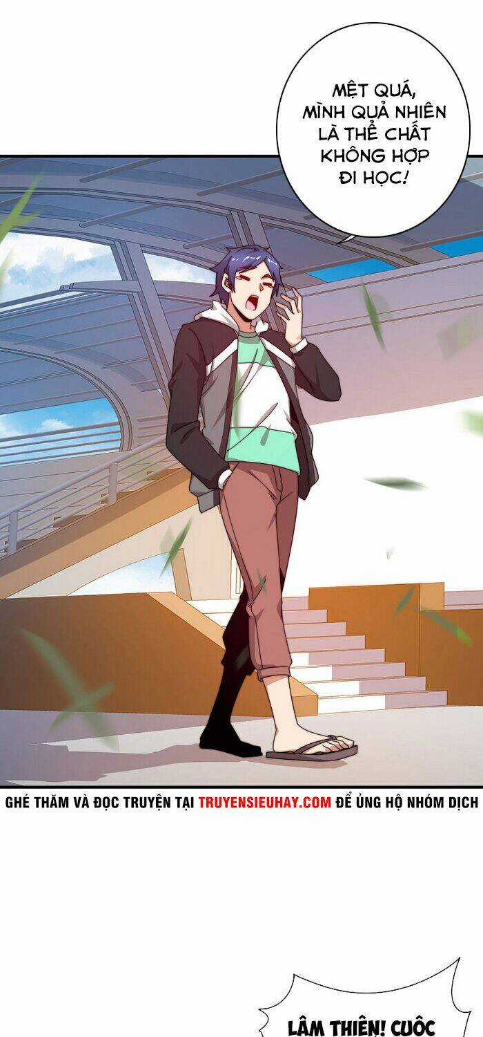 Từ Hôm Nay Bắt Đầu Làm Người Giàu Nhất Chapter 205 trang 5