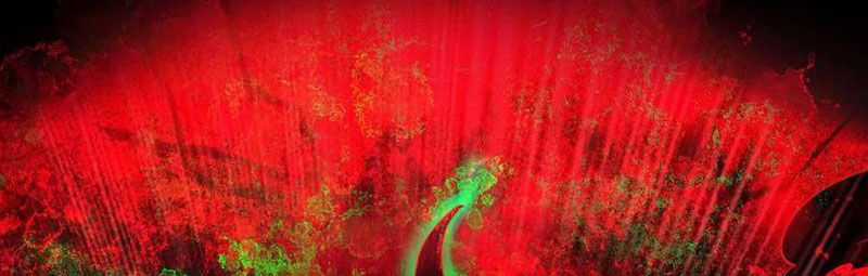 Từ Hồng Nguyệt Khai Thủy Chapter 185 trang 49