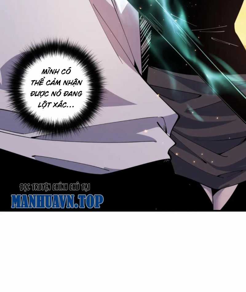 TỬ LINH PHÁP SƯ: TA CHÍNH LÀ THIÊN TAI! Chapter 44 trang 15