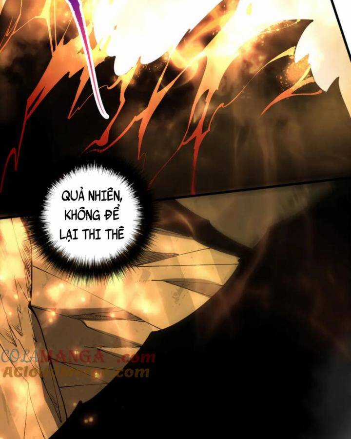 TỬ LINH PHÁP SƯ: TA CHÍNH LÀ THIÊN TAI! Chapter 87 trang 62