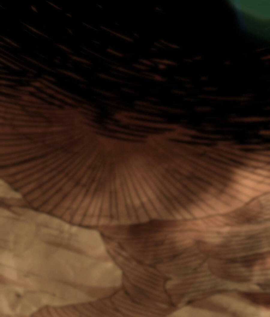 TỪ LÚC BẮT ĐẦU LIỀN VÔ ĐỊCH Chapter 88 trang 59