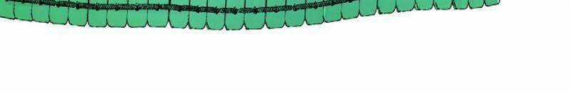 Tu Luyện Thành Tiên Ta Chỉ Muốn Nuôi Nữ Đồ Đệ Chương 11 trang 24