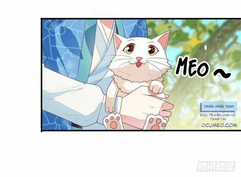 Tư Sủng Âm Dương Phi Chapter 10 trang 8