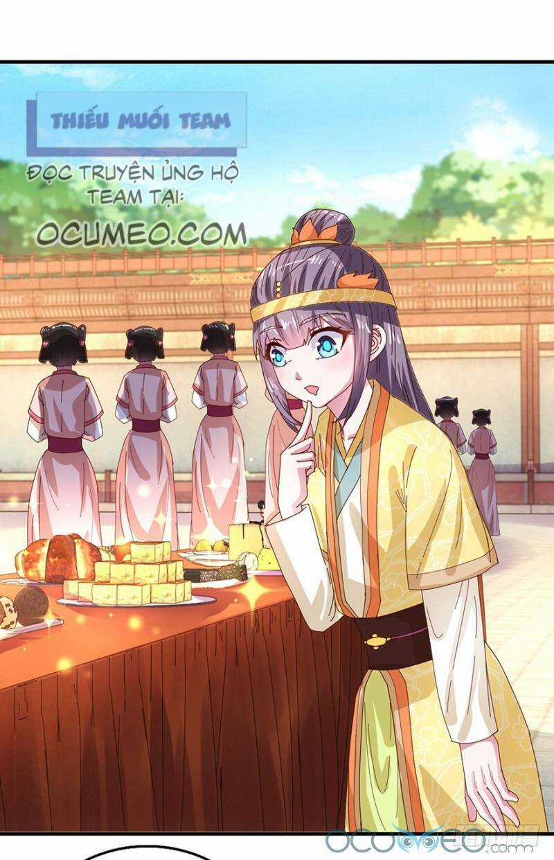 Tư Sủng Âm Dương Phi Chapter 29 trang 11