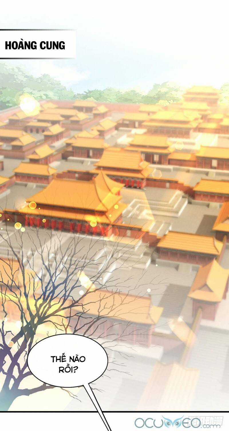 Tư Sủng Âm Dương Phi Chapter 29 trang 5