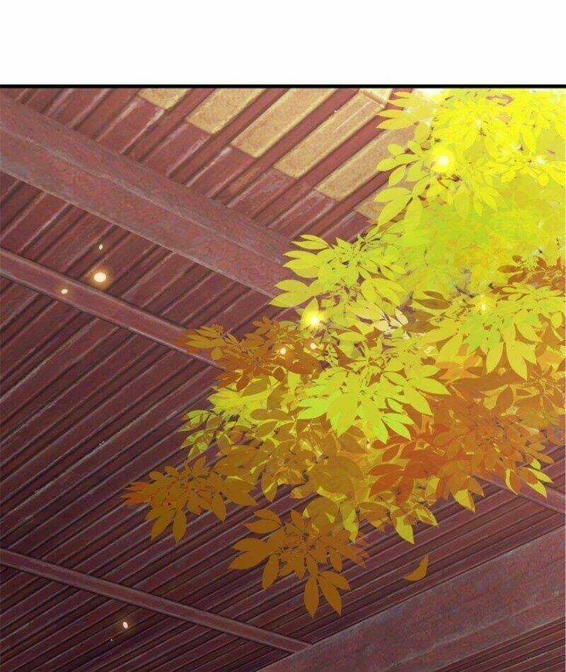 Tư Sủng Âm Dương Phi Chapter 4 trang 29