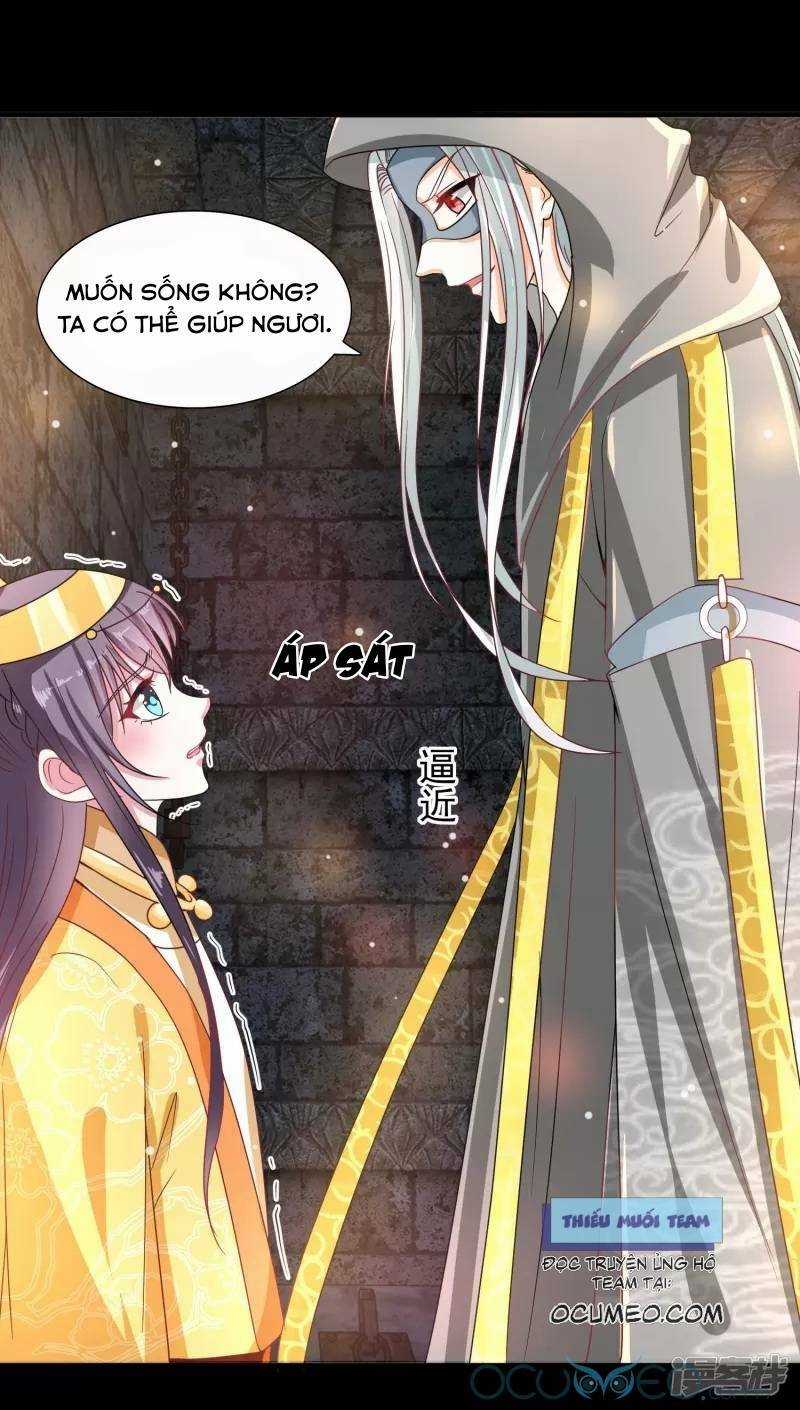 Tư Sủng Âm Dương Phi Chapter 42 trang 5