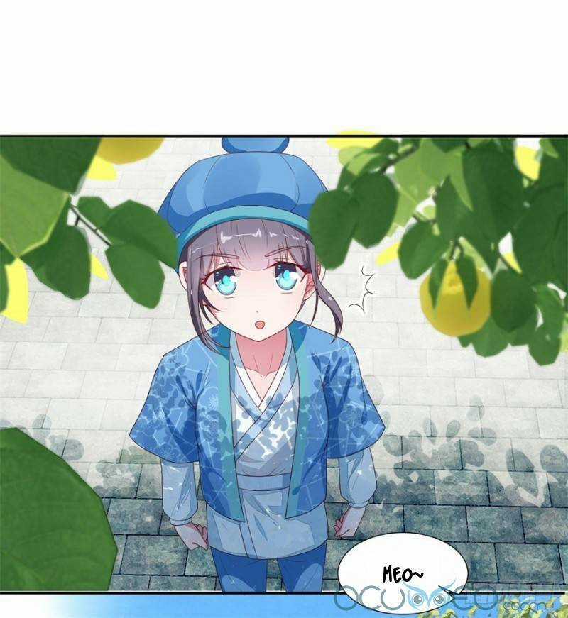 Tư Sủng Âm Dương Phi Chapter 9 trang 13