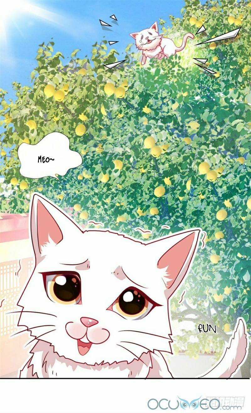 Tư Sủng Âm Dương Phi Chapter 9 trang 14