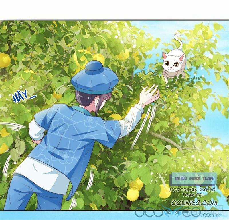 Tư Sủng Âm Dương Phi Chapter 9 trang 20