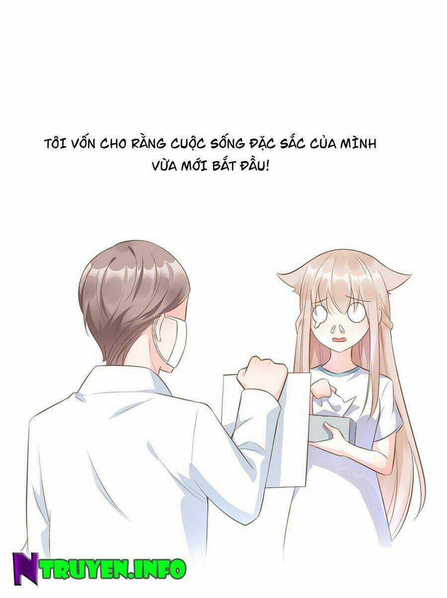 Tư Sủng Cục Cưng Bảo Bối Chapter 1 trang 4