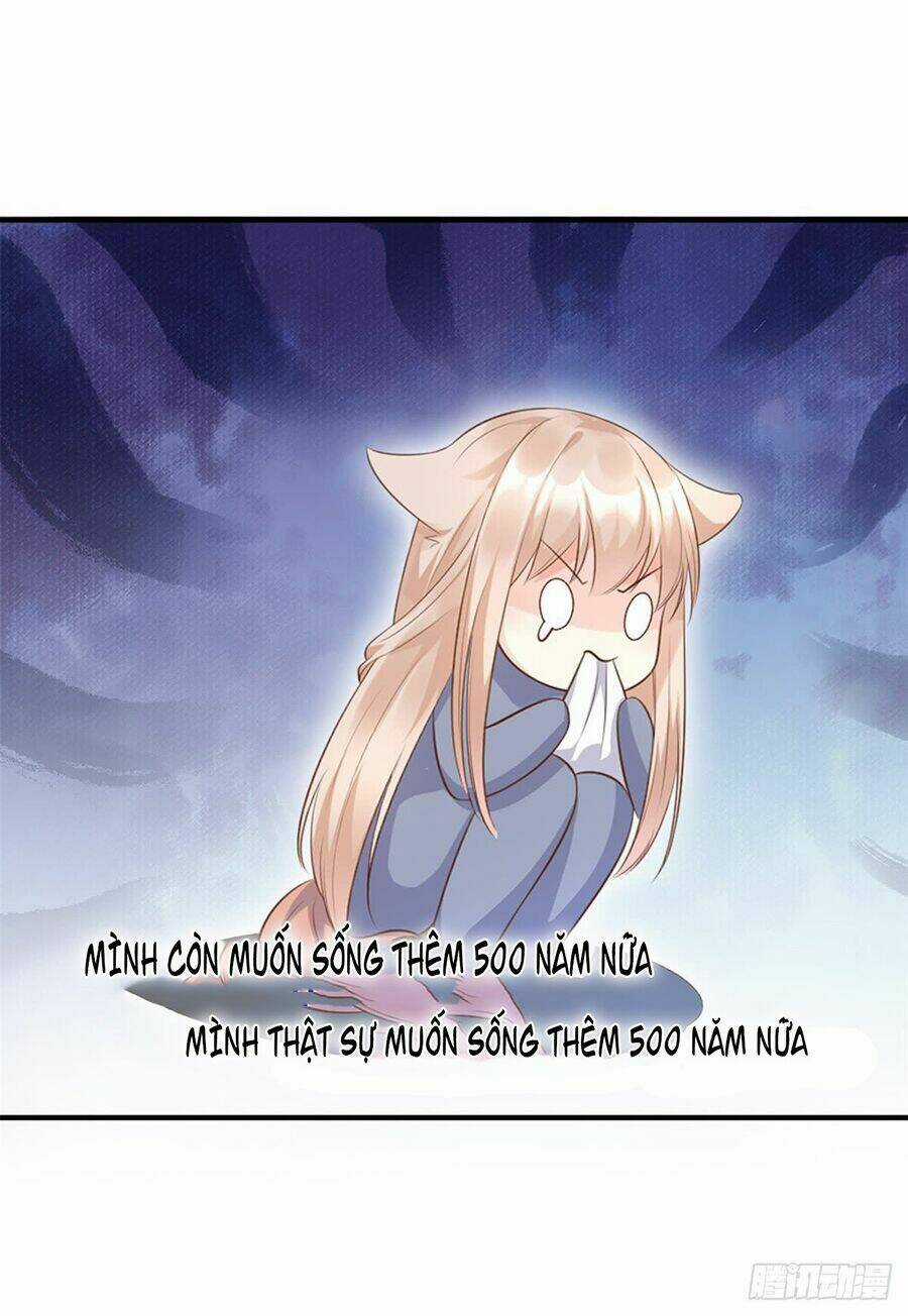 Tư Sủng Cục Cưng Bảo Bối Chapter 1 trang 6