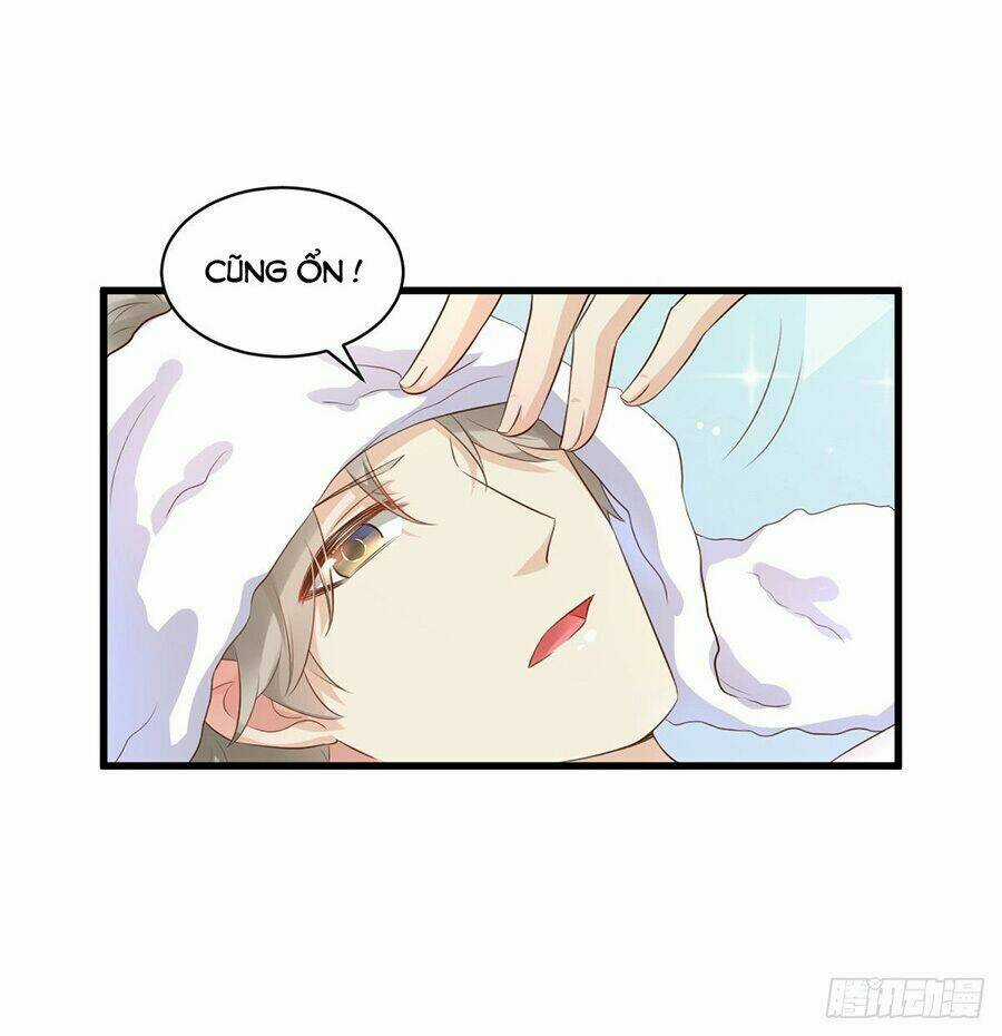 Tư Sủng Cục Cưng Bảo Bối Chapter 5.1 trang 4