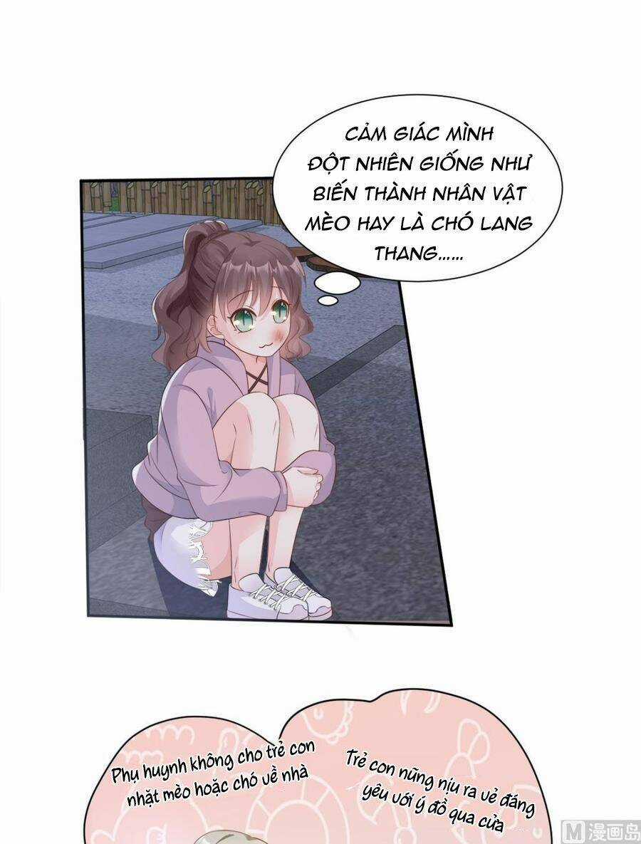 Tư Sủng Cục Cưng Bảo Bối Chapter 61 trang 13