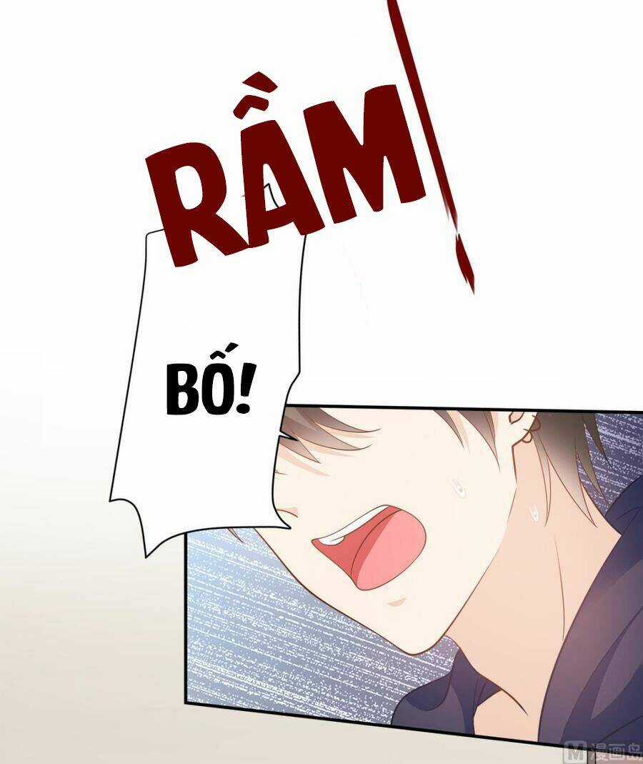 Tư Sủng Cục Cưng Bảo Bối Chapter 71 trang 13