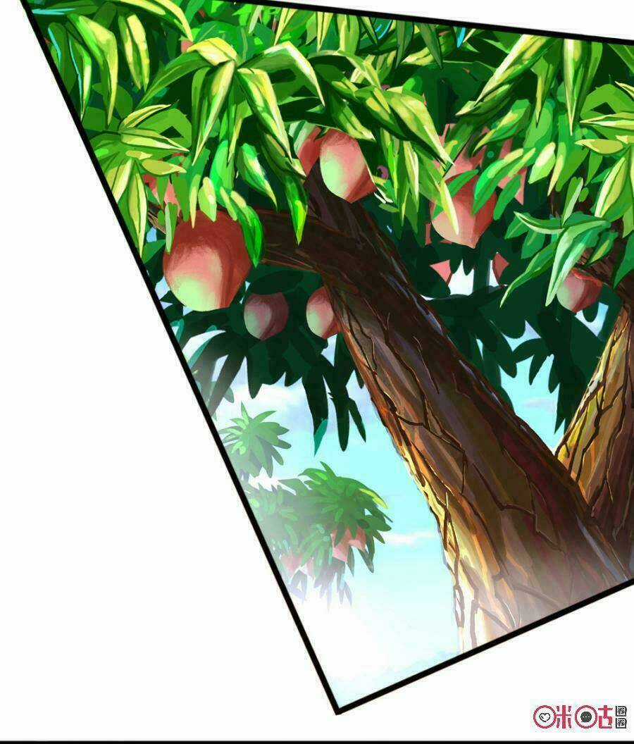 Tu Tiên Cuồng Thần Chapter 6 trang 5